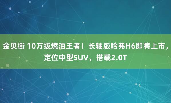 金贝街 10万级燃油王者！长轴版哈弗H6即将上市，定位中型SUV，搭载2.0T