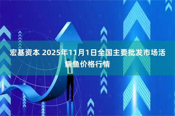 宏基资本 2025年11月1日全国主要批发市场活鳜鱼价格行情