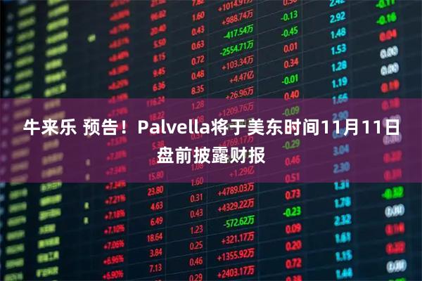 牛来乐 预告！Palvella将于美东时间11月11日盘前披露财报