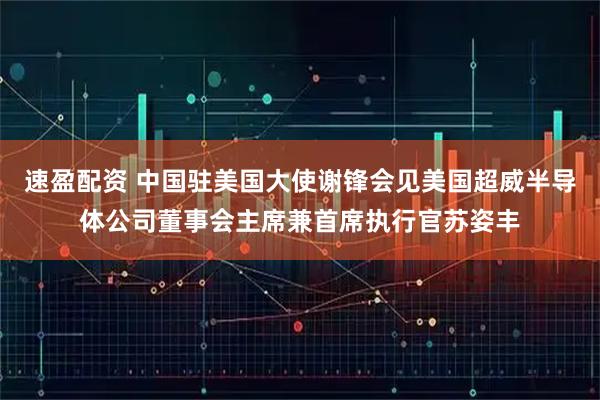 速盈配资 中国驻美国大使谢锋会见美国超威半导体公司董事会主席兼首席执行官苏姿丰