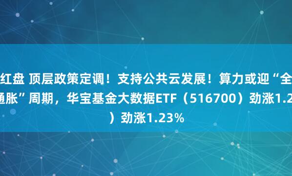 红盘 顶层政策定调！支持公共云发展！算力或迎“全链通胀”周期，华宝基金大数据ETF（516700）劲涨1.23%